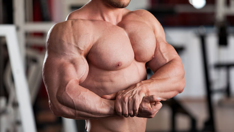 bodybuilder huge muscles